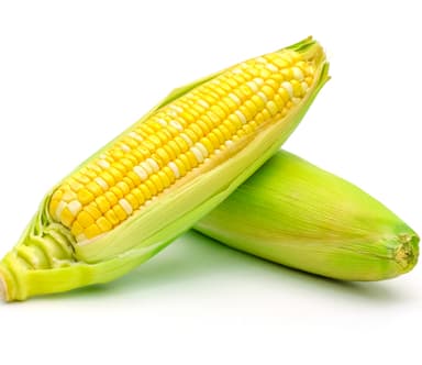 Elote