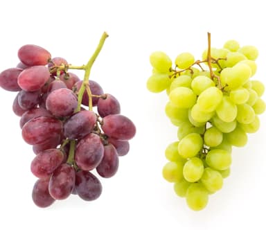 Uvas