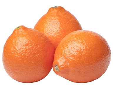 MINNEOLA