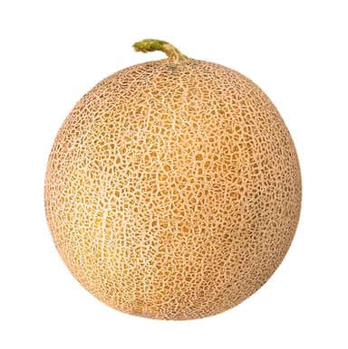 CANTALOUPE
