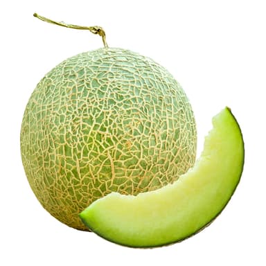 VALENCINO