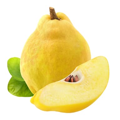 MEMBRILLO