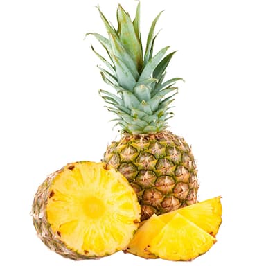 PIÑA