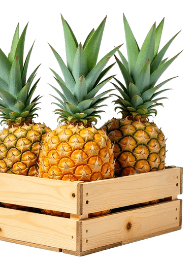 Caja de otros