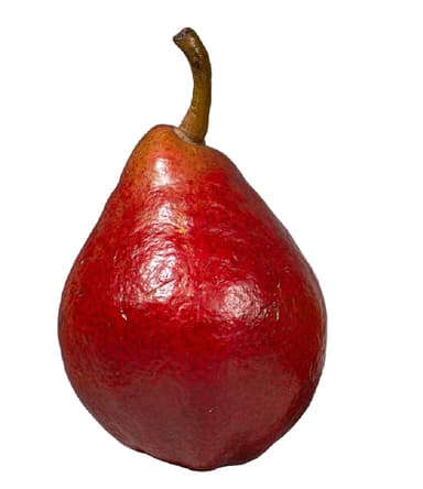 ROJA