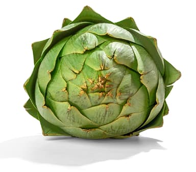 ALCACHOFA