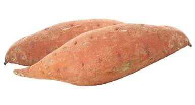 CAMOTE