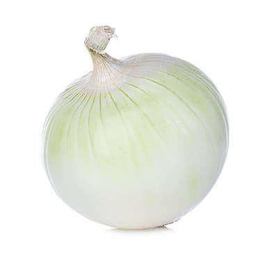CEBOLLA