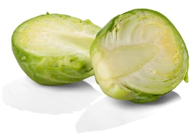 COLES DE BRUSELAS