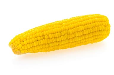 ELOTE AMARILLO
