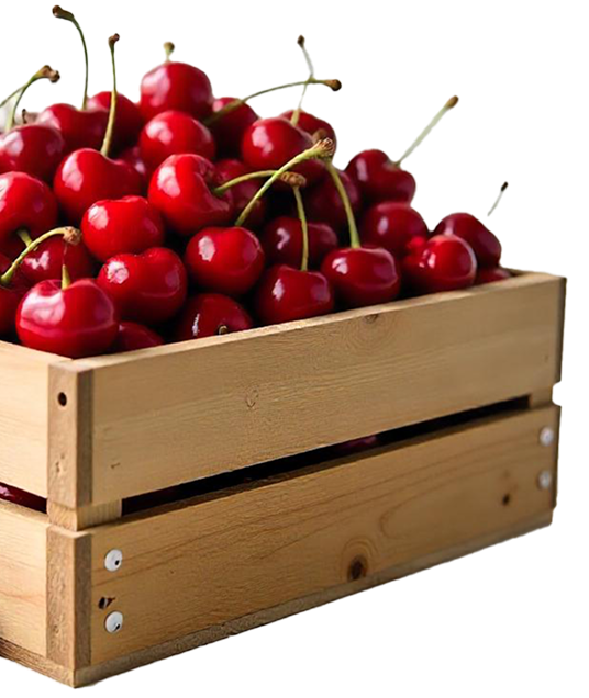 BERRIES