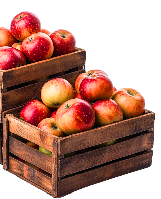 MANZANA