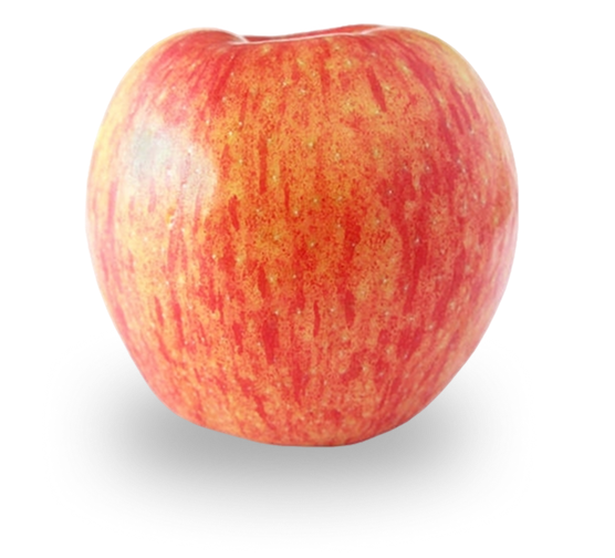 HONEYCRISP