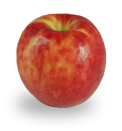 JUICY