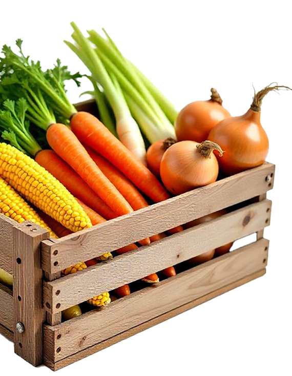 VEGETALES